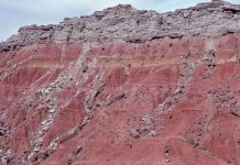 Research: Fires fueled spread of grasslands on ancient Earth —