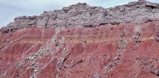 Research: Fires fueled spread of grasslands on ancient Earth —