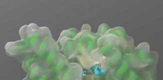 Study: High-throughput platform enables activity mapping of emerging cancer drug targets — (Details)