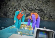 Research: Fossil algae reveal 500 million years of climate change —