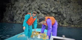 Research: Fossil algae reveal 500 million years of climate change —