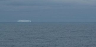 Research: Whale songs’ changing pitch may be response to population, climate changes —