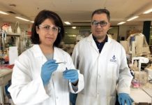 Tech: Researchers remove silicon contamination from graphene to double its performance — (Report)