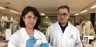 Tech: Researchers remove silicon contamination from graphene to double its performance — (Report)