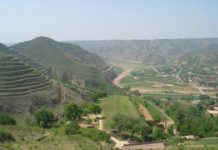 Research: In China’s Loess Plateau, soil moisture makes a difference —
