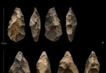Research: Stone tools linked to ancient human ancestors in Arabia have surprisingly recent date —