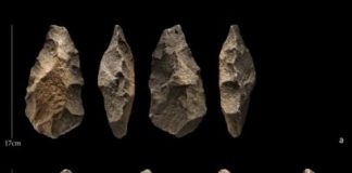 Research: Stone tools linked to ancient human ancestors in Arabia have surprisingly recent date —