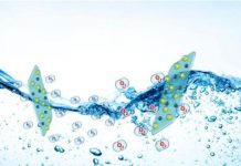 Tech: New catalyst produces cheap hydrogen fuel — (Report)
