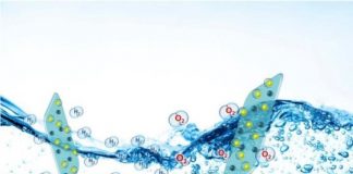 Tech: New catalyst produces cheap hydrogen fuel — (Report)