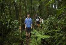 Offbeat: How a rat and bat helped heal a 90-year cultural rift —