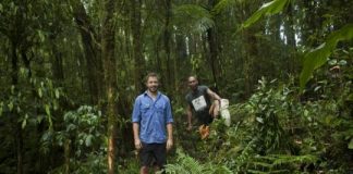 Offbeat: How a rat and bat helped heal a 90-year cultural rift —