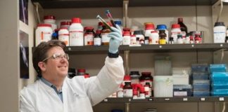 Study: Discovering a new compound that illuminates the sulfur cycle — (Details)