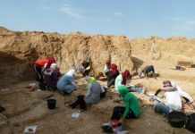 Research: Oldest stone artifacts and cutmarked bones in North Africa contemporary with archaeological materials in East Africa —