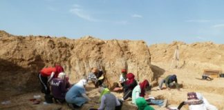 Research: Oldest stone artifacts and cutmarked bones in North Africa contemporary with archaeological materials in East Africa —
