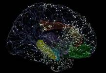 Research: Effective new target for mood-boosting brain stimulation found —