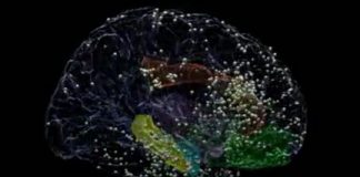 Research: Effective new target for mood-boosting brain stimulation found —