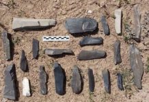 Research: New archaeological site revises human habitation timeline on Tibetan plateau —