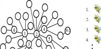 Tech: Searching an artificial bee colony for real-world results — (Report)