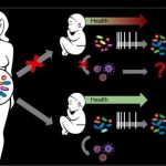 Study: Altered microbiome after caesarean section impacts baby’s immune system — (Details)