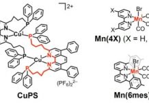 Research: Great strides for carbon capture using earth-abundant elements as photocatalytic system —