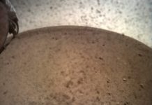 Tech: Mars new home ‘a large sandbox’ — (Report)