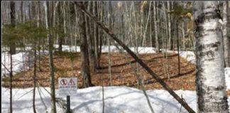 Research: Snowpack declines may stunt tree growth and forests’ ability to store carbon emissions —