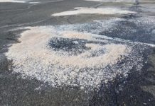 Research: Better regulation and pollution management strategies needed —