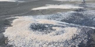 Research: Better regulation and pollution management strategies needed —