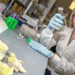 Study: Discovery could accelerate study of epigenetics in humans, researchers say — (Details)