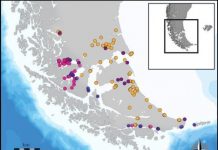 Research: Artificial intelligence for studying the ancient human populations of Patagonia —