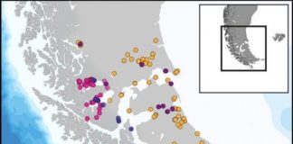 Research: Artificial intelligence for studying the ancient human populations of Patagonia —