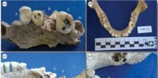 Research: Study puts the Neotropics on the map of the world’s food production centers in antiquity —