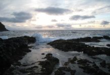 Research: Inosine could be a potential route to the first RNA and the origin of life on Earth —