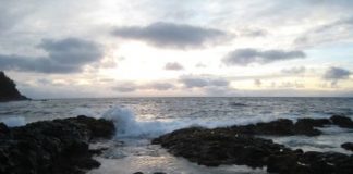 Research: Inosine could be a potential route to the first RNA and the origin of life on Earth —