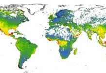 Research: New analytics approach identifies 15,000 at-risk species —