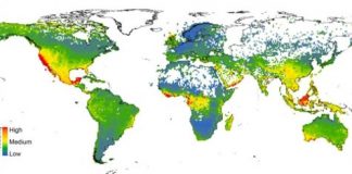 Research: New analytics approach identifies 15,000 at-risk species —