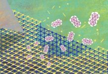 Tech: Capturing the surprising flexibility of crystal surfaces — (Report)