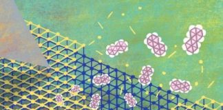 Tech: Capturing the surprising flexibility of crystal surfaces — (Report)