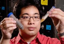 Research: Team converts wet biological waste to diesel-compatible fuel —