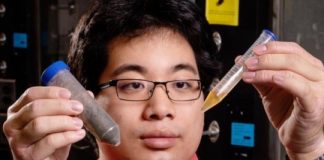 Research: Team converts wet biological waste to diesel-compatible fuel —