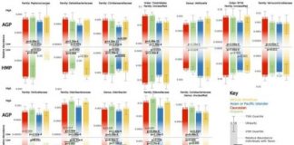 Research: Gut microbiome differs among ethnicities —