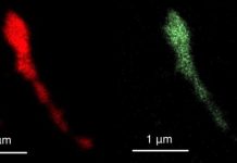 Research: Using a virus to speed up modern computers —