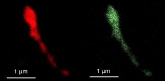 Research: Using a virus to speed up modern computers —