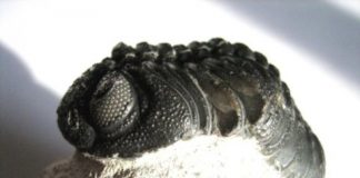 Research: Enhancing our vision of the past —