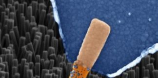 Study: Artificial synapses made from nanowires — (Details)