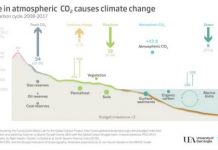 Research: Fossil fuel emissions have climbed for a second straight year, driven by growing energy use —