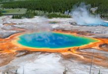 Research: A microbe’s membrane helps it survive extreme environments —