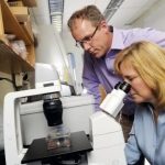 Study: Up to now, it has not been clear if these cells might be useful to combat influenza infections or even if they exist at all — (Details)