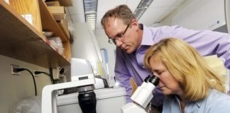 Study: Up to now, it has not been clear if these cells might be useful to combat influenza infections or even if they exist at all — (Details)