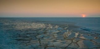 Research: Wintertime arctic sea ice growth slows long-term decline —